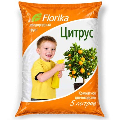 grunt citrus