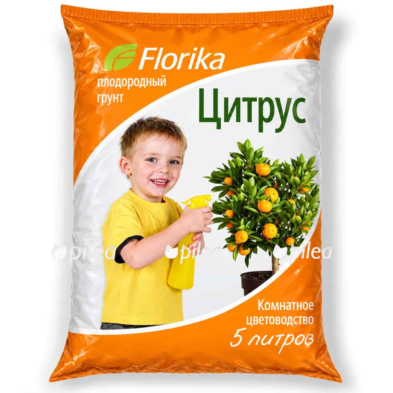 grunt-citrus grunt citrus
