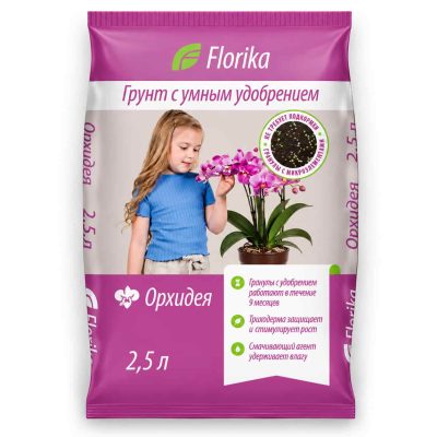 grunt florika orhideya