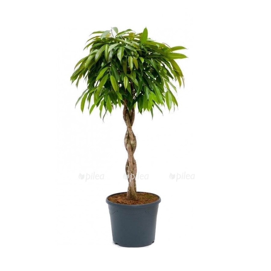 imageuavs.jpg imageuavs