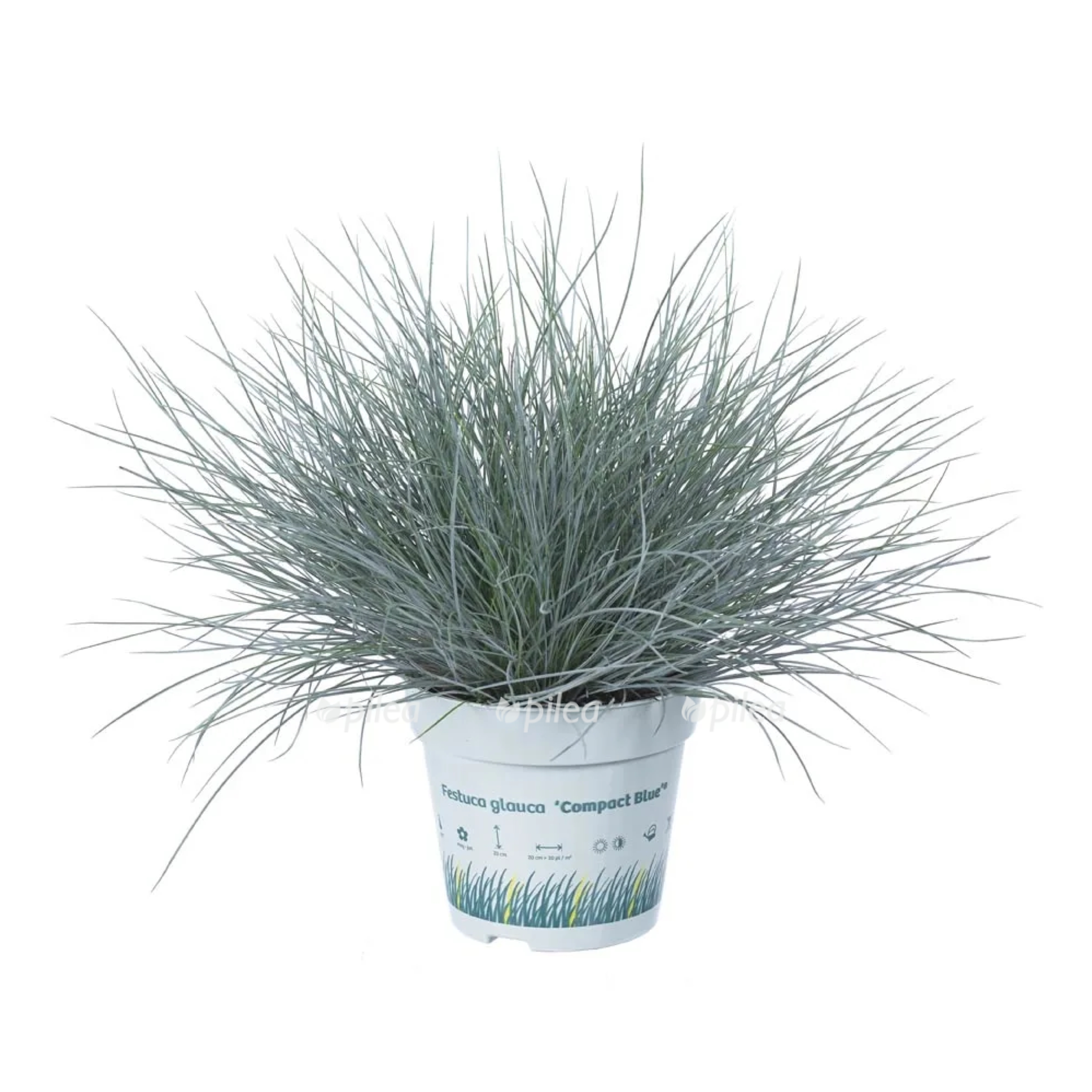 img_1576.jpeg img 1576