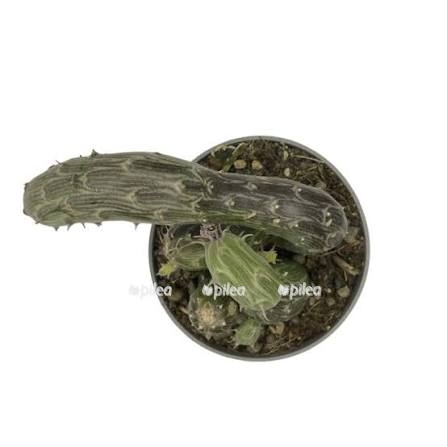 img_6200.jpeg img 6200