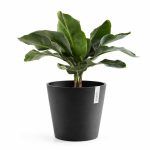 kashpo ecopots amsterdam antracit