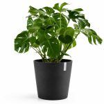 kashpo ecopots amsterdam antracit 2