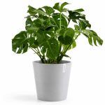 kashpo ecopots amsterdam antracit korichnevyj seryj