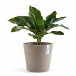 kashpo ecopots amsterdam pesochnyj