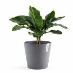 kashpo ecopots amsterdam seryj