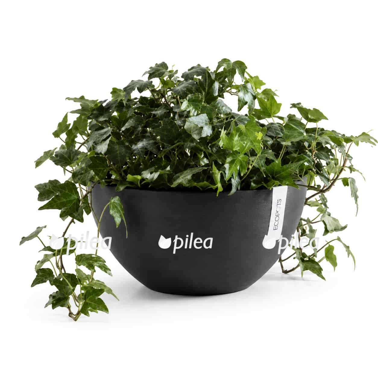 Кашпо Ecopots "Brussels" H12 D25 см купить