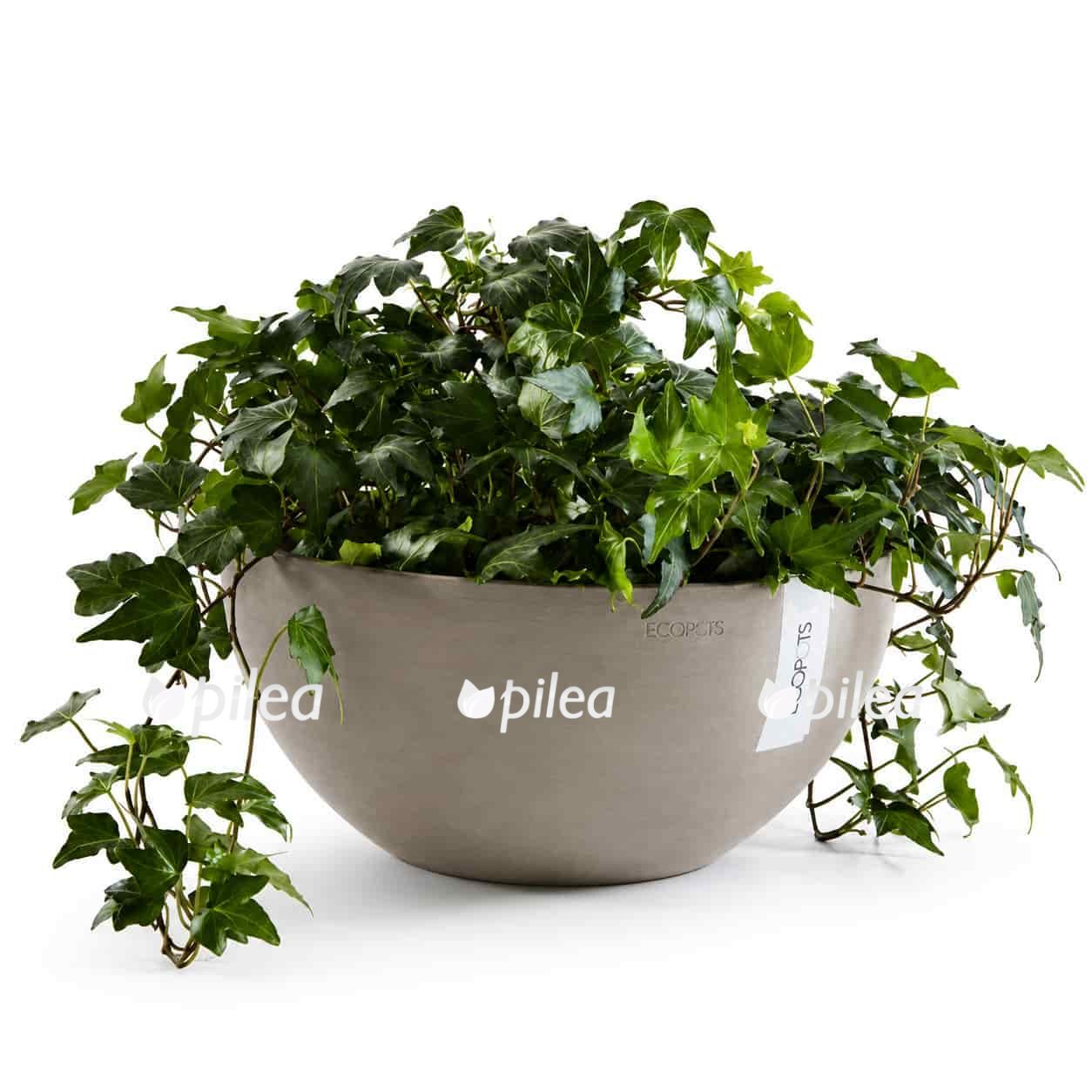 Кашпо Ecopots "Brussels" H12 D25 см Кашпо Ecopots "Brussels" H12 D25 см купить