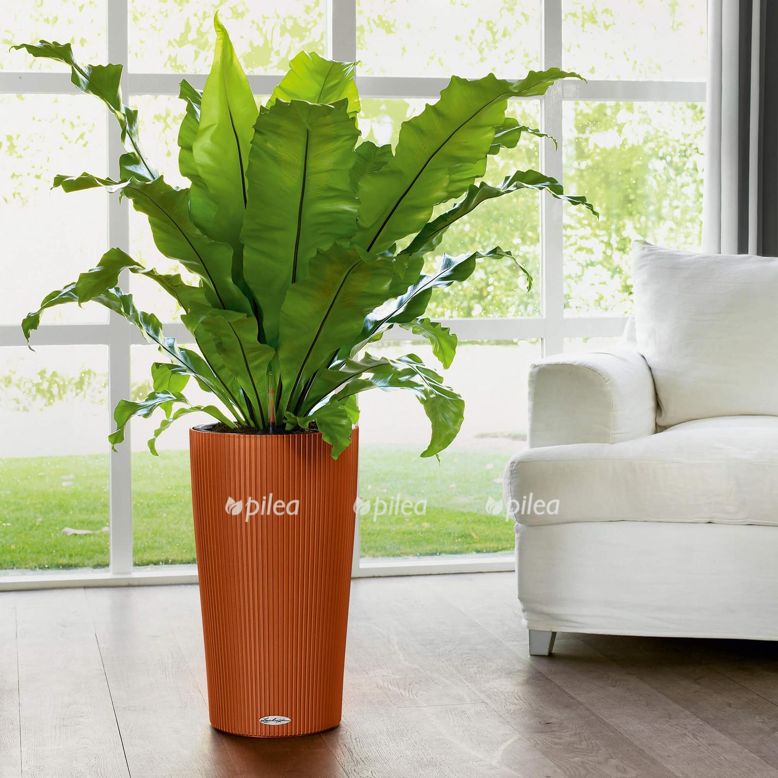 le cilindro color product addi 02