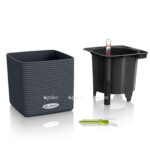 le cube color product addi aio