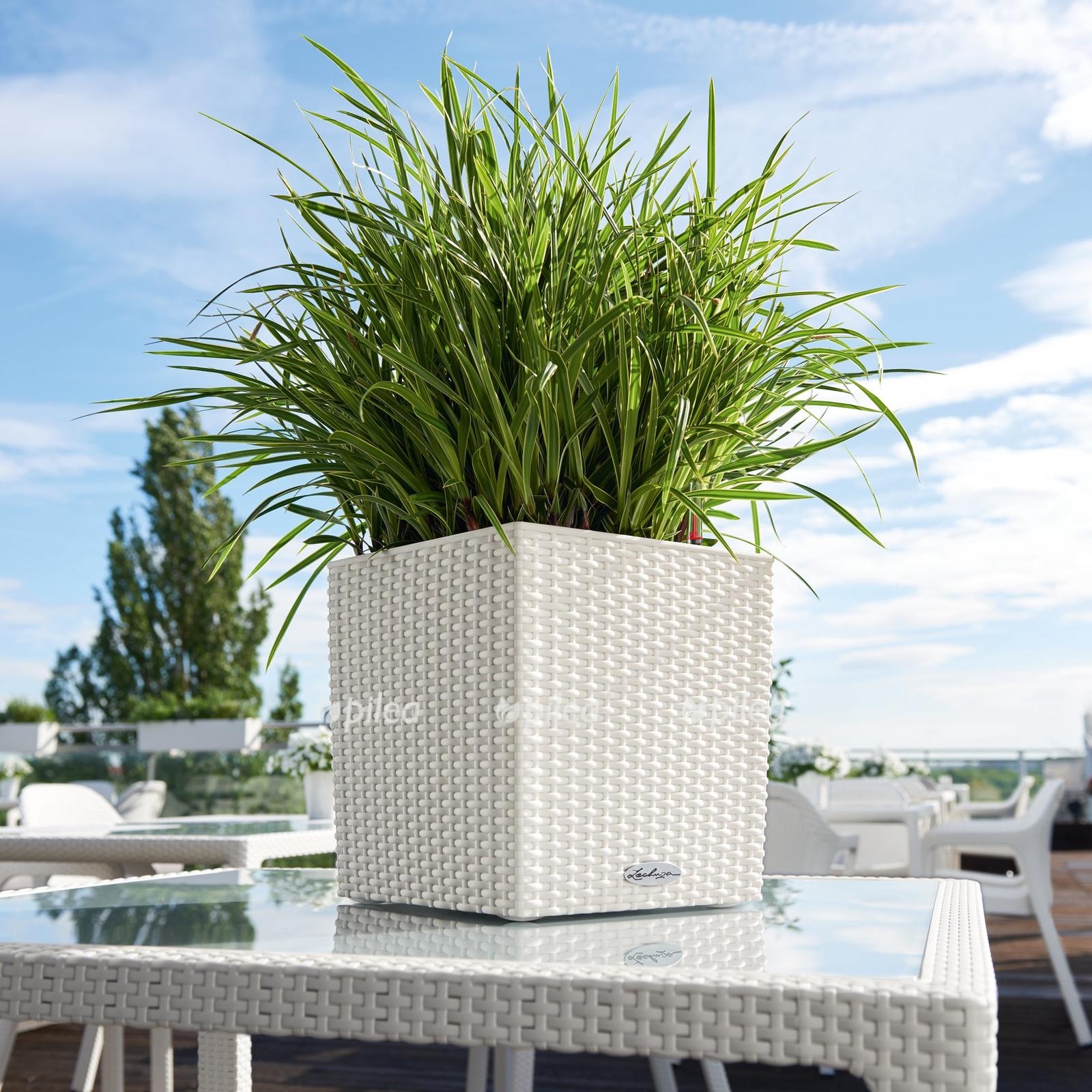 le cube cottage30 product addi 03