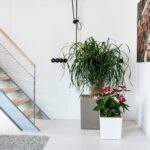 le cube30 product addi 02