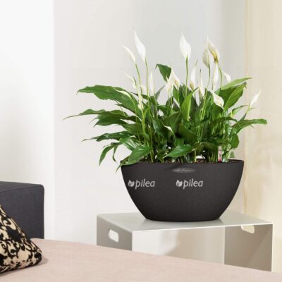 le cubeto stone40 product addi 02