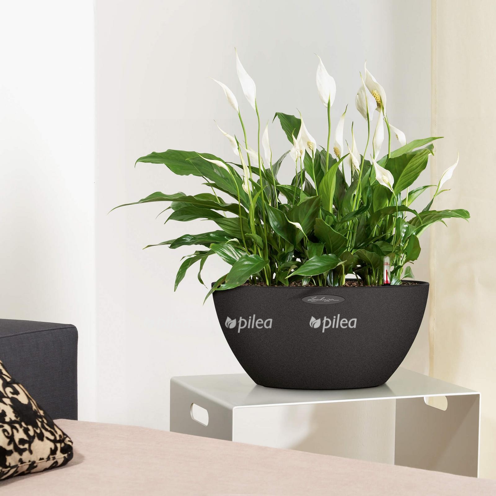 le cubeto stone40 product addi 02