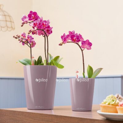 le deltini 10 product addi 04