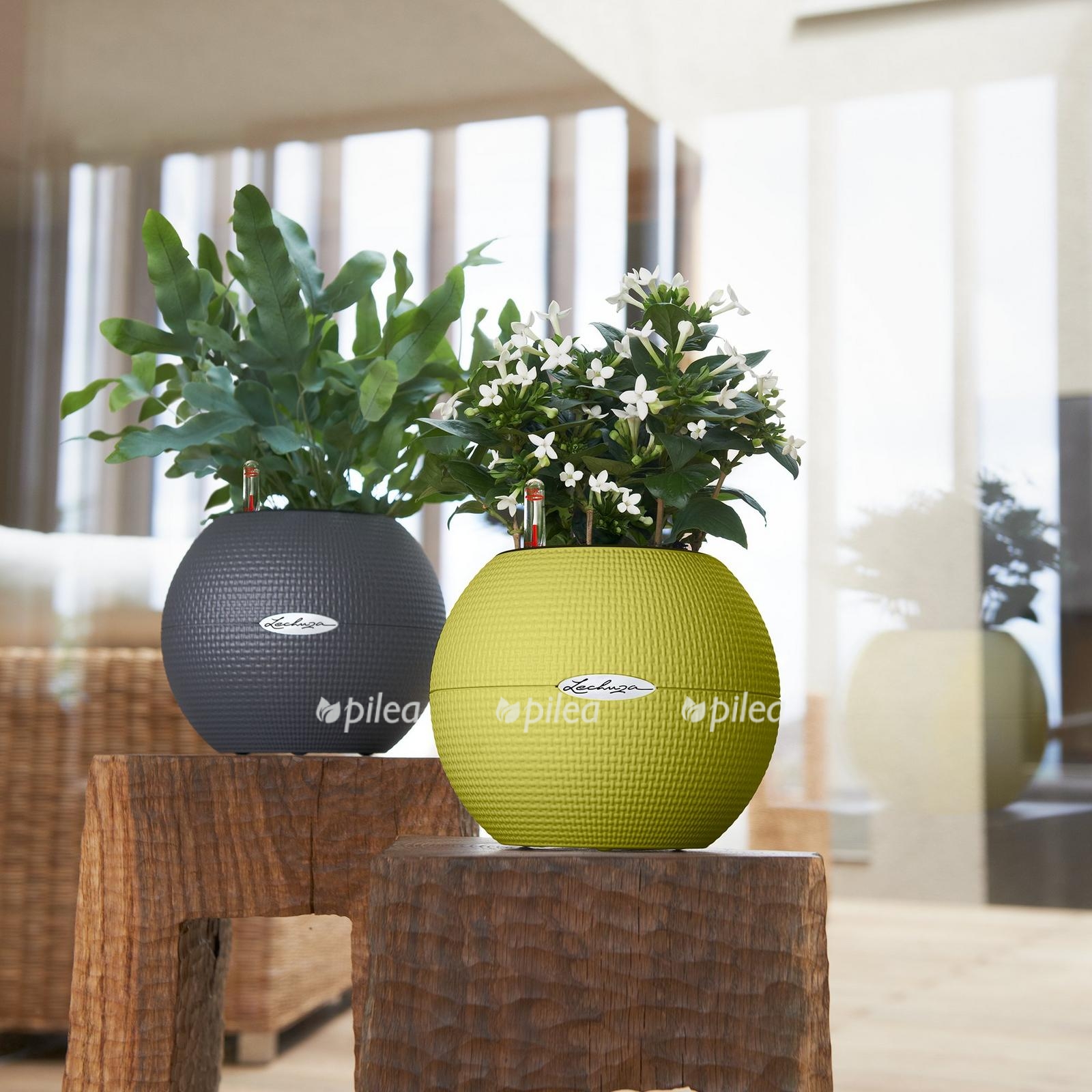 le puro color20 product addi 01