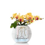 le puro color20 product addi sws
