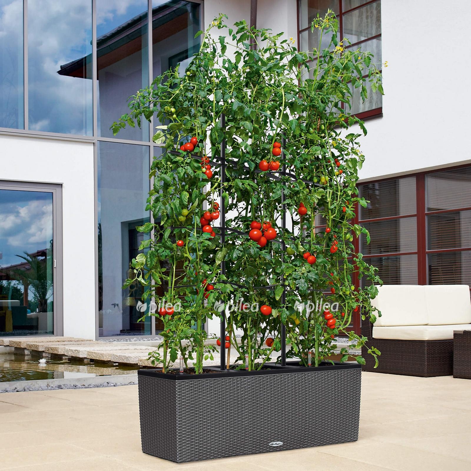 le rankgitter trio product addi 02