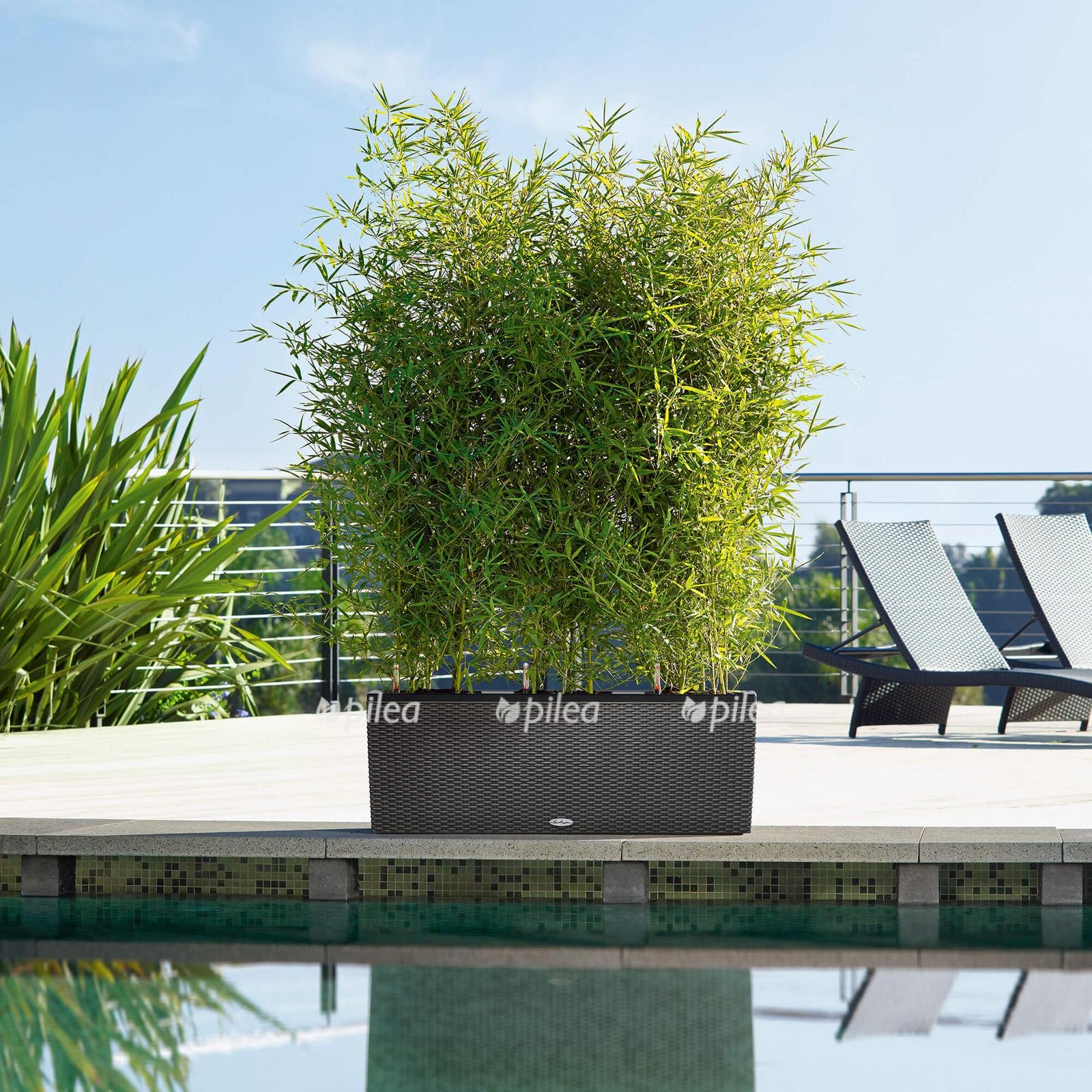 le trio cottage30 product addi 01