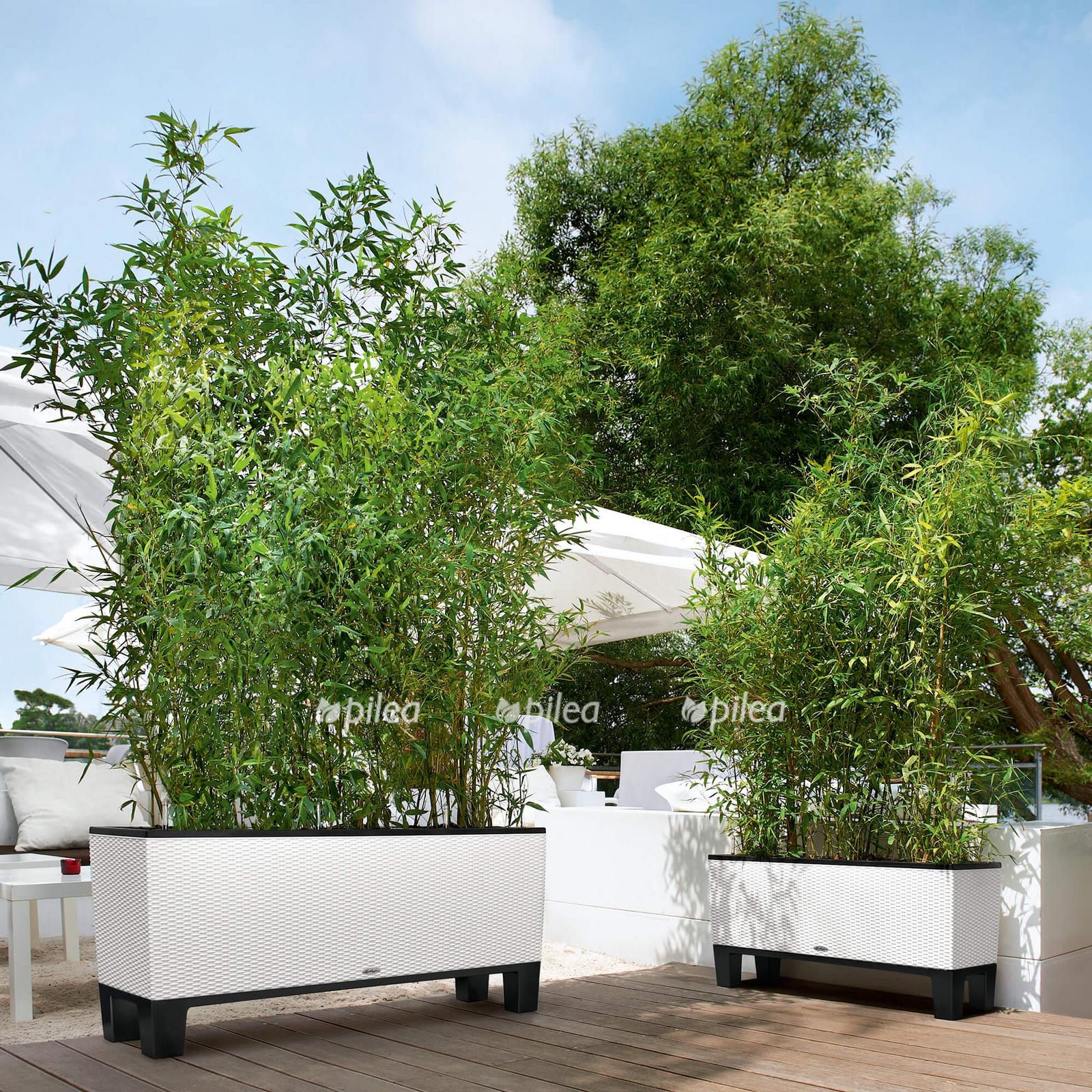 le trio cottage product addi 01