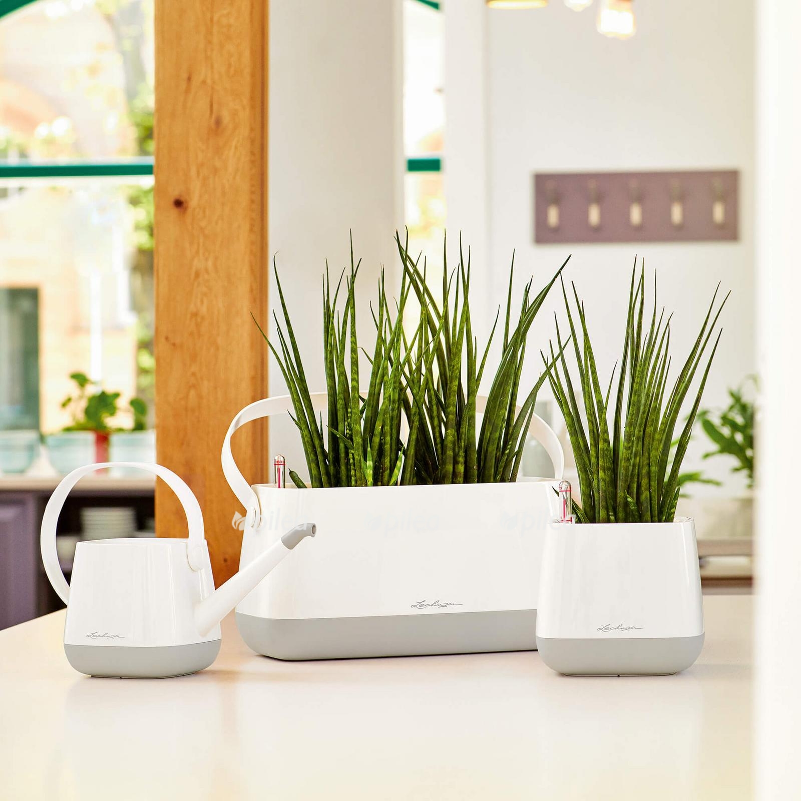 le yula pflanztasche product addi 03 1