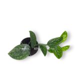 nedavno ispolzovannye 1