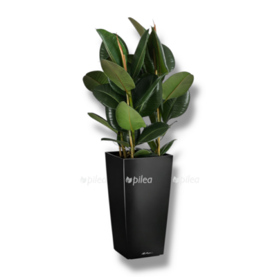 nedavno ispolzovannye e1768220102243