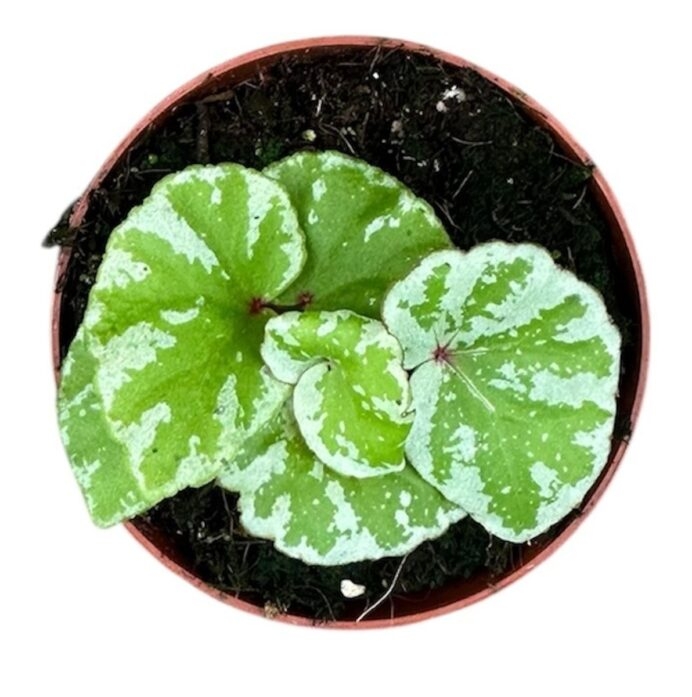 phghgjlfc83v32lipjhg7hial0d3no34f5d0r2t2 big e1774290490811