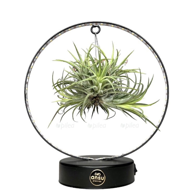 photoroom 20230425 172432