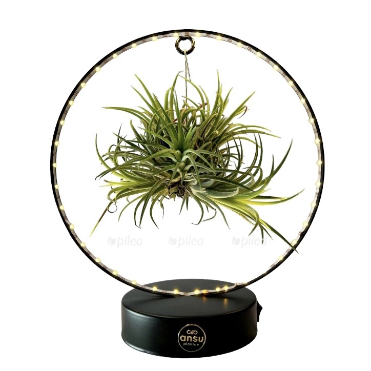 photoroom 20230425 172521