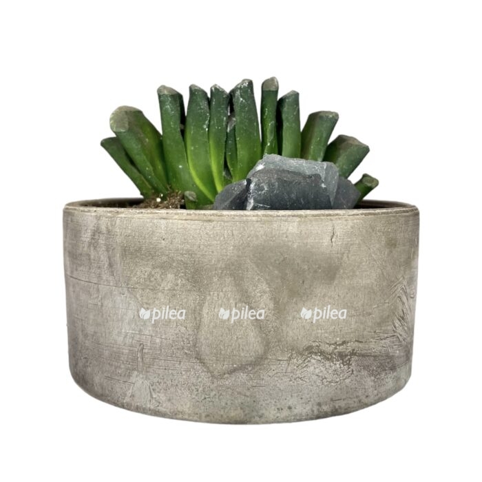 photoroom 20230513 124805 e1684083983110