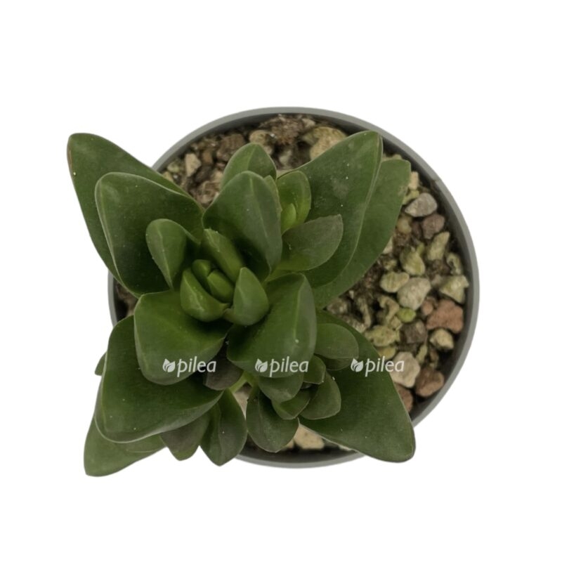 photoroom 20230603 095519 e1685802860337