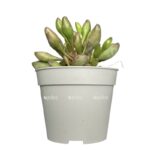 photoroom 20230603 100915 e1685803976720