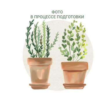 Заполнитель