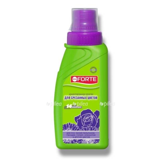 sredstvo bona forte dlya srezannyh cvetov e1770359472383