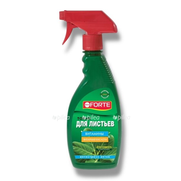 tonik bona forte dlya listev e1770357011721