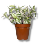 tradeskanciya yunikorn e1757007333908