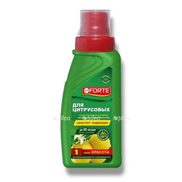 udobrenie bona forte dlya citrusovyh e1770356144248