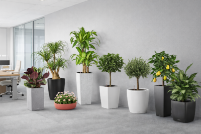 Ролики для CUBICO 32 71f42174 53ad 410e 85ae 5d13a9782e72