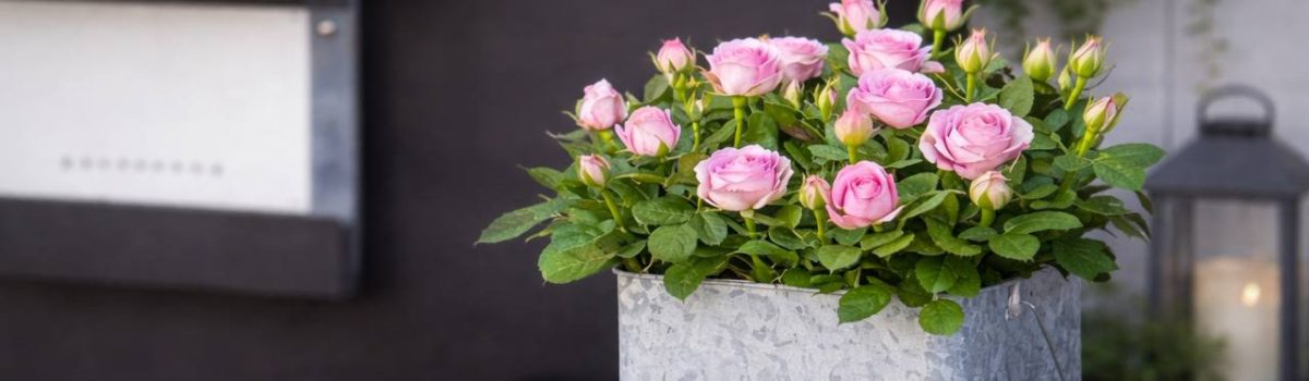 photo 2026 04 15 08.22.09