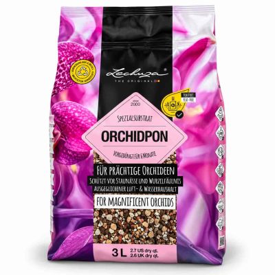 grunt lechuza orhidpon
