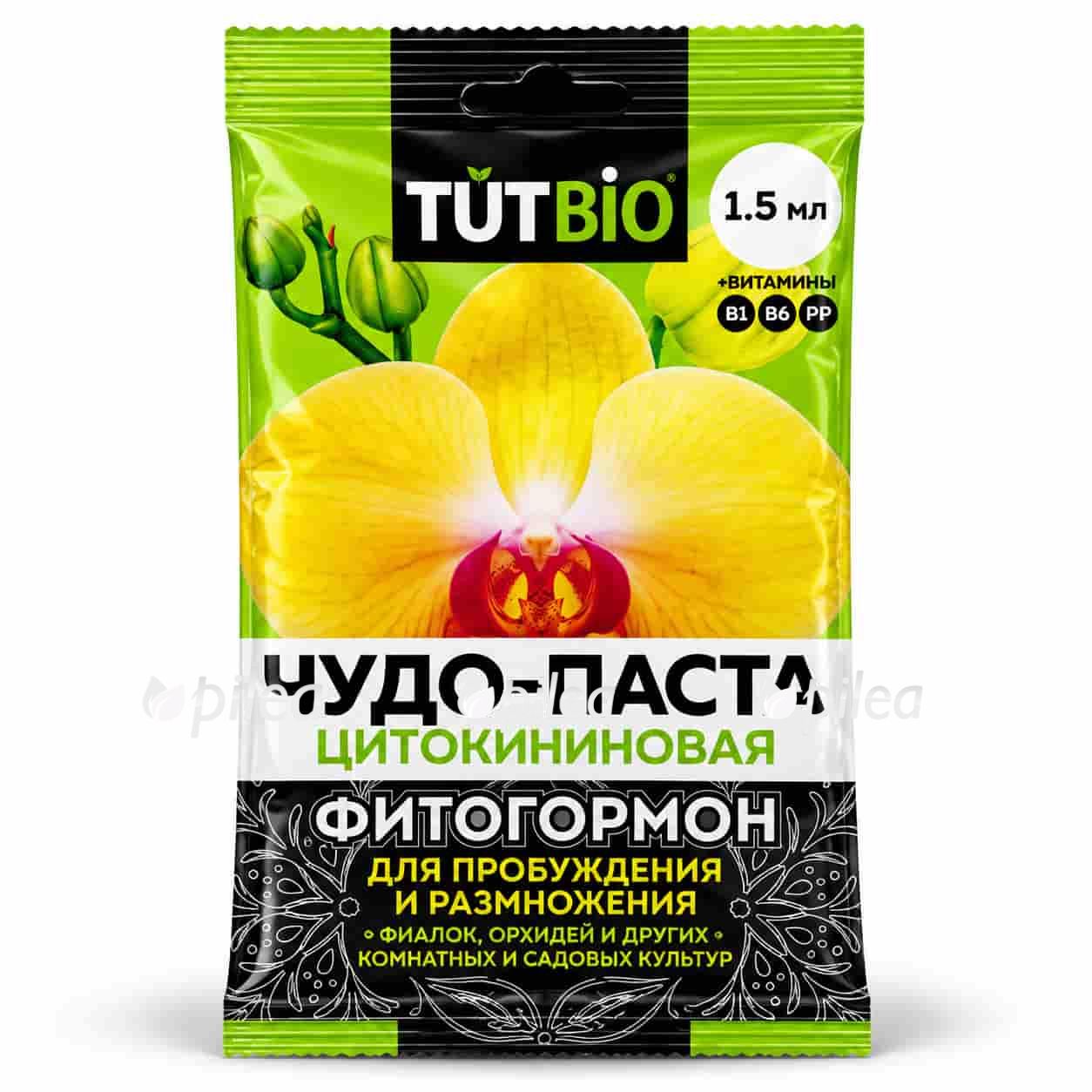 chudo pasta tsitokininovaya tut bio