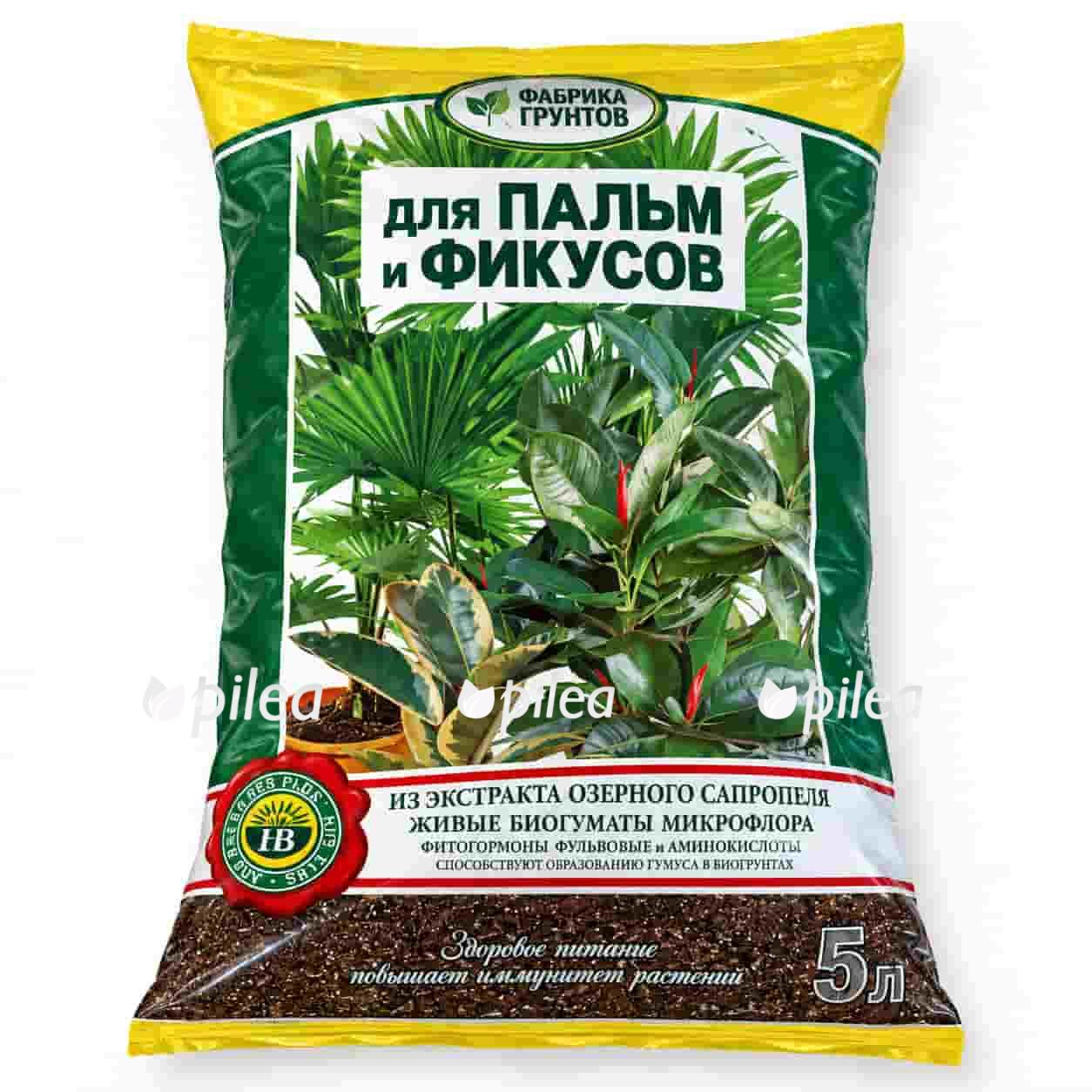 grunt dlya palm i fikusov fabrika gruntov